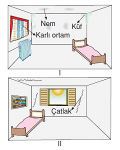 6.sınıf Konu Testi | Bilgicik.Com - Türkçe, Edebiyat, Teknoloji