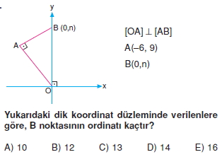 dogrunun_analıtık_ıncelenmesı_test_1_015