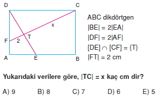 dıkdortgen_kare_cozumlu_test_2_005