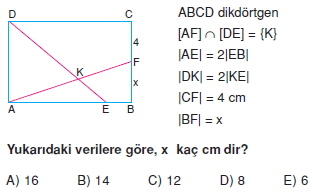 dıkdortgen_kare_test_1_005