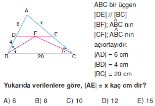 ucgende_benzerlık_cozumlu_test_1_008