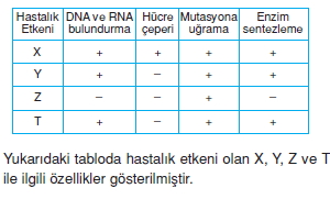 canlilarinsiniflandirilmasikonutesti3003