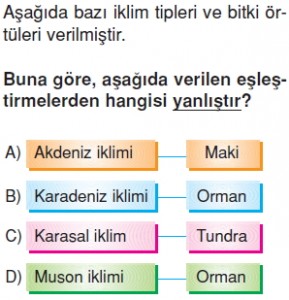 Yeryüzündeyasamcözümlütest2003