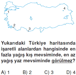 Yeryüzündeyasamcözümlütest2006