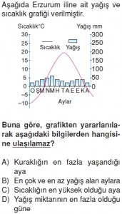 Yeryüzündeyasamcözümlütest2008