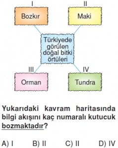 Yeryüzündeyasamkonutesti8008