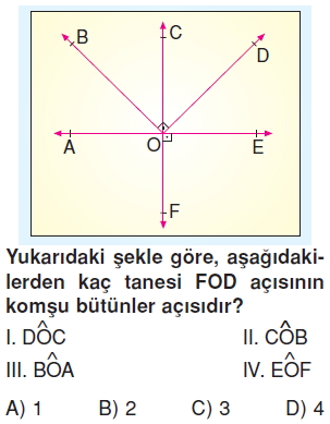 6sinifacilartest4_005