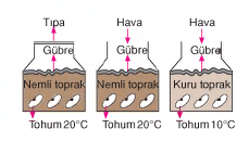 şekil